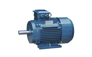 三相异步电机厂家
